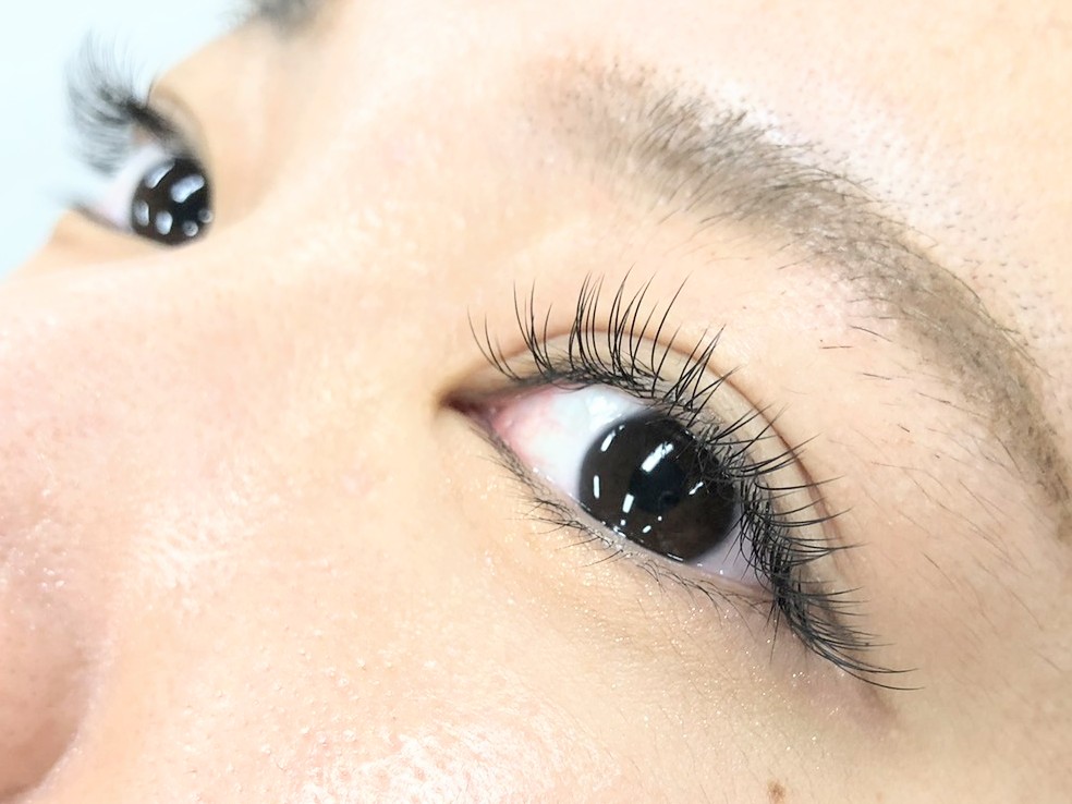 無料マツエクモデル募集 Iflビューティーカレッジ Iflschool Twitter