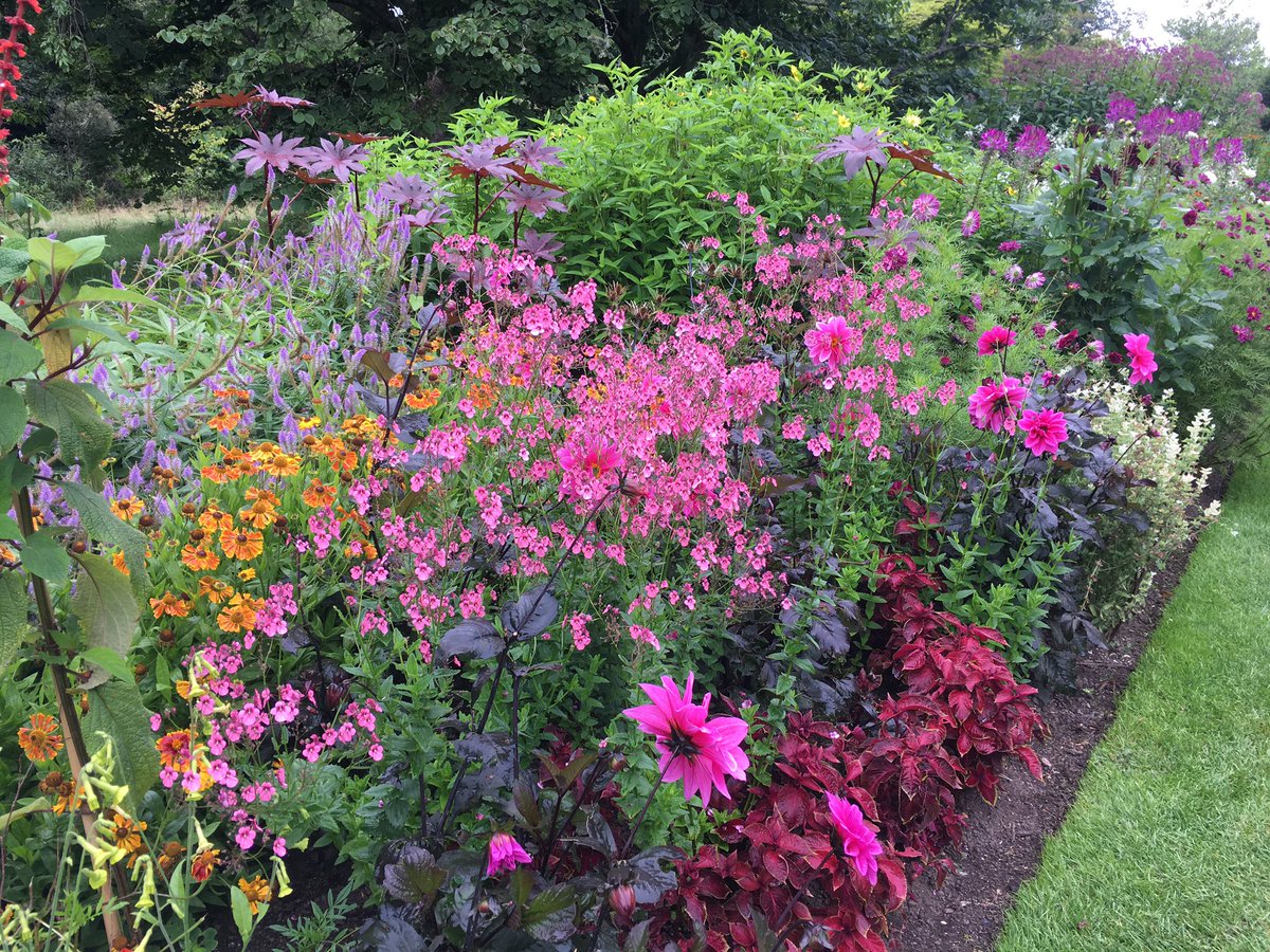 The summer borders at Nymans. A glorious riot of colour 🌈