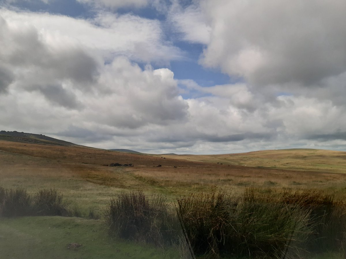 M0PIR_Spark's tweet photo. Time for a walk with the kids, pretty lucky to have this on the doorstep #dartmoor #rowtor #westmilltor #okehampton #bleak #walking https://t.co/TsnNQtDQOw