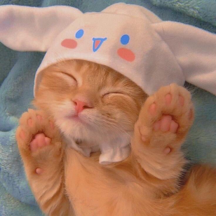 podcastdoors's tweet image. @fifirong It's the weekend! Well done for all your hard work this week with your VIP contest 🏆 #TeamFifinity