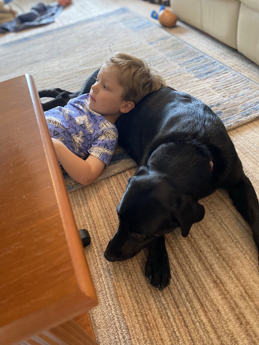 louloujackson8's tweet photo. Labrador puppy and small boy just chilling out at Granny’s house #autisticboy #gentlepup #blacklabrador https://t.co/j4AfMJD5Ag