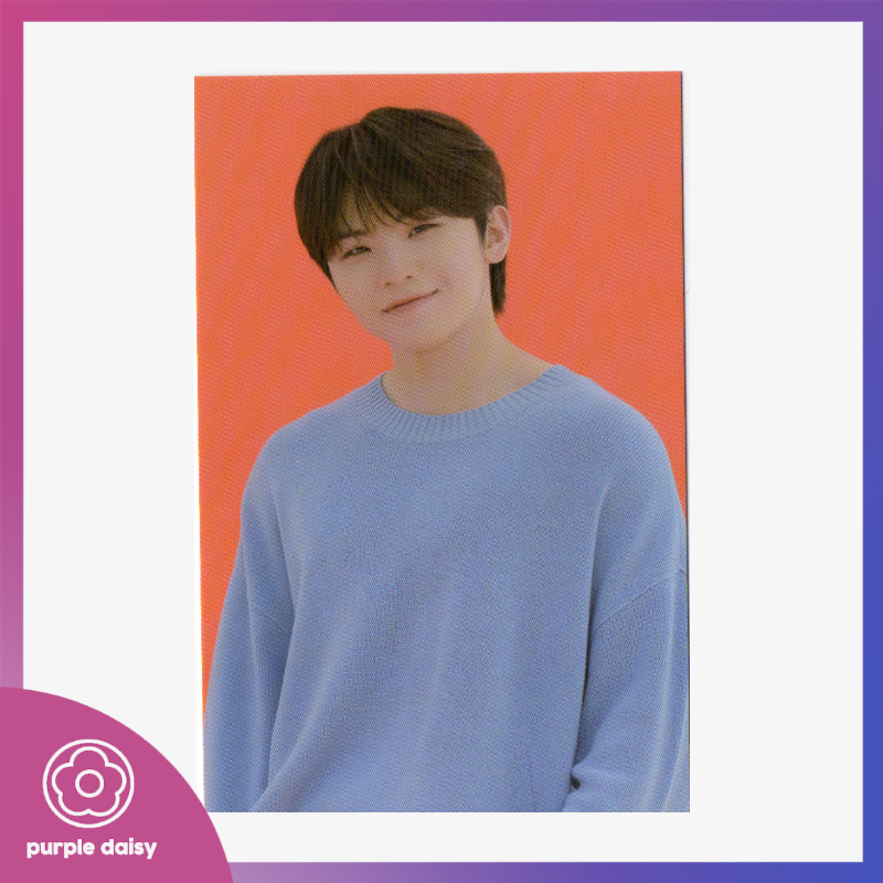 Purple Daisy PH tweet media