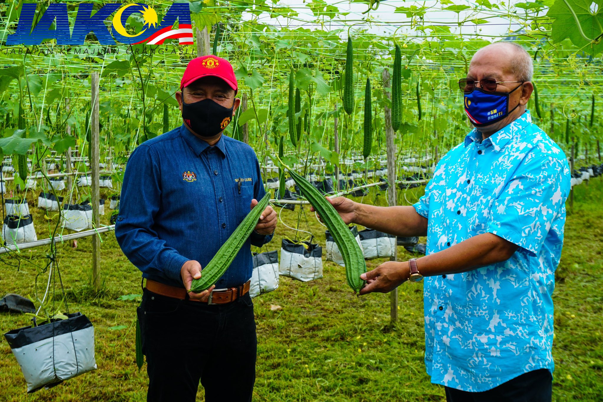 Jab. Kem. Orang Asli (@jakoamalaysia) / Twitter