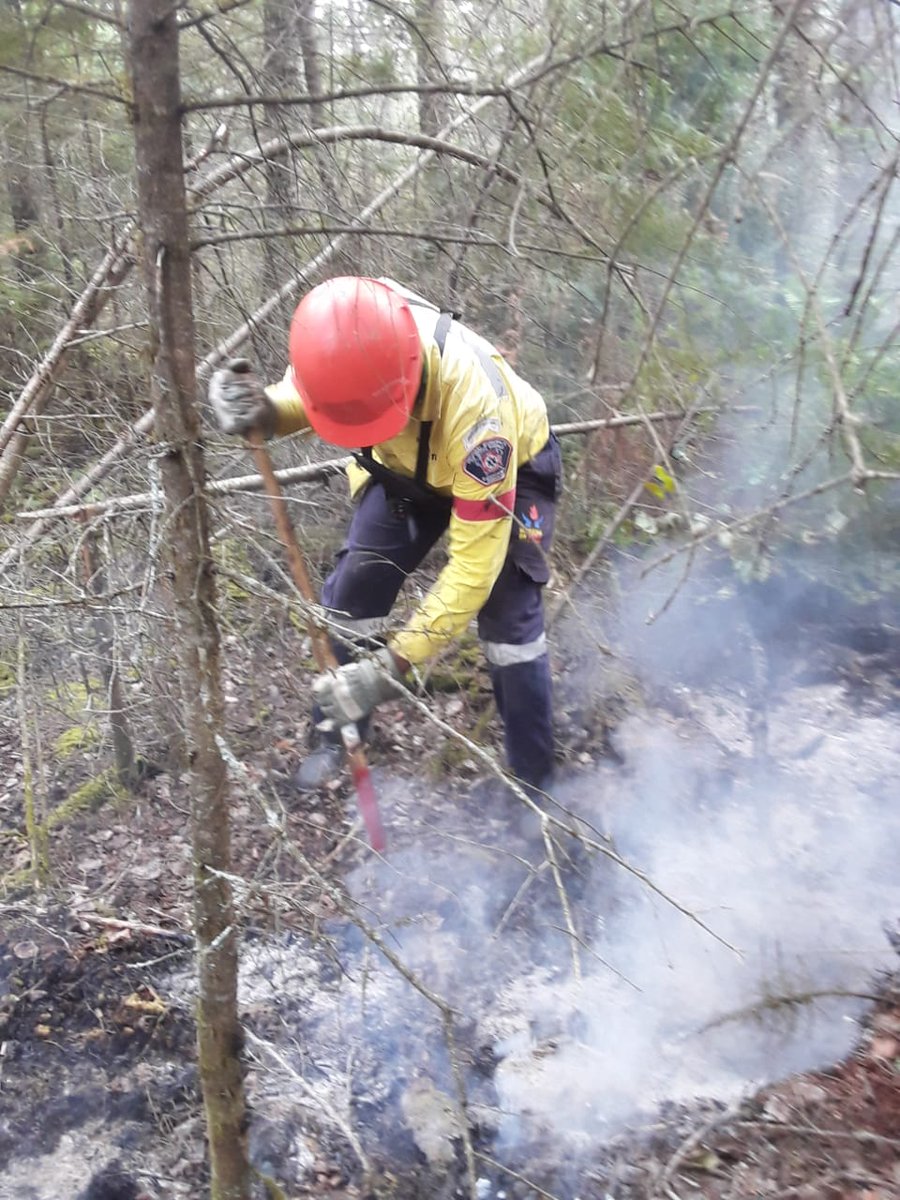 wo_fire's tweet photo. Teams featured conducting mop up activities on the fire line. Mop up is done once a fire has been contained to avoid future flare ups.
#CanadaFires #WOFCanDeploy #mbfire #WOFinCanada @environmentza @CBCManitoba @ONforestfires
@SABCNews @eNCA @IOL @CanHCZA @SouthAfricanHC @CIFFC https://t.co/1lS2O10HJb