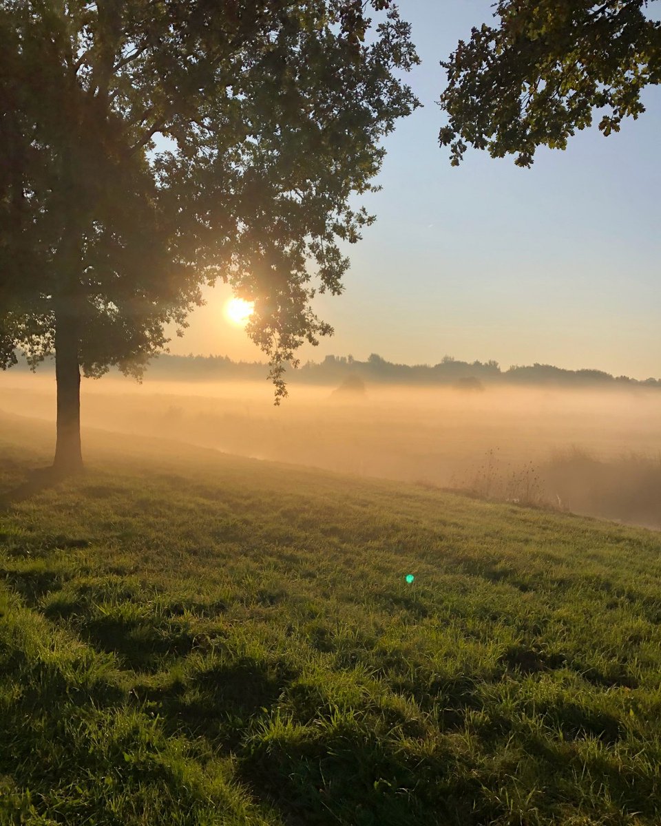 Good morning sunshine, we've been waiting for you! ☀️
