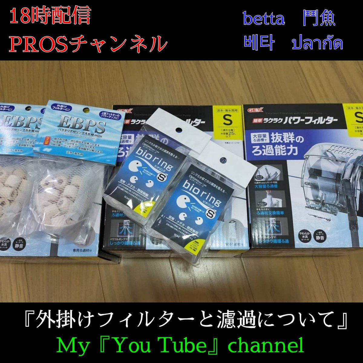 ট ইট র ジュン 本日１８時配信 Prosチャンネル 外掛けフィルターと濾過について ベタ初心者の奮闘記 T Co Ugomeeimhn Youtube ベタ Betta アクアリウム Youtuber 濾過フィルター ปลาก ด ジェックス Gex T Co Vttqmtvhlp