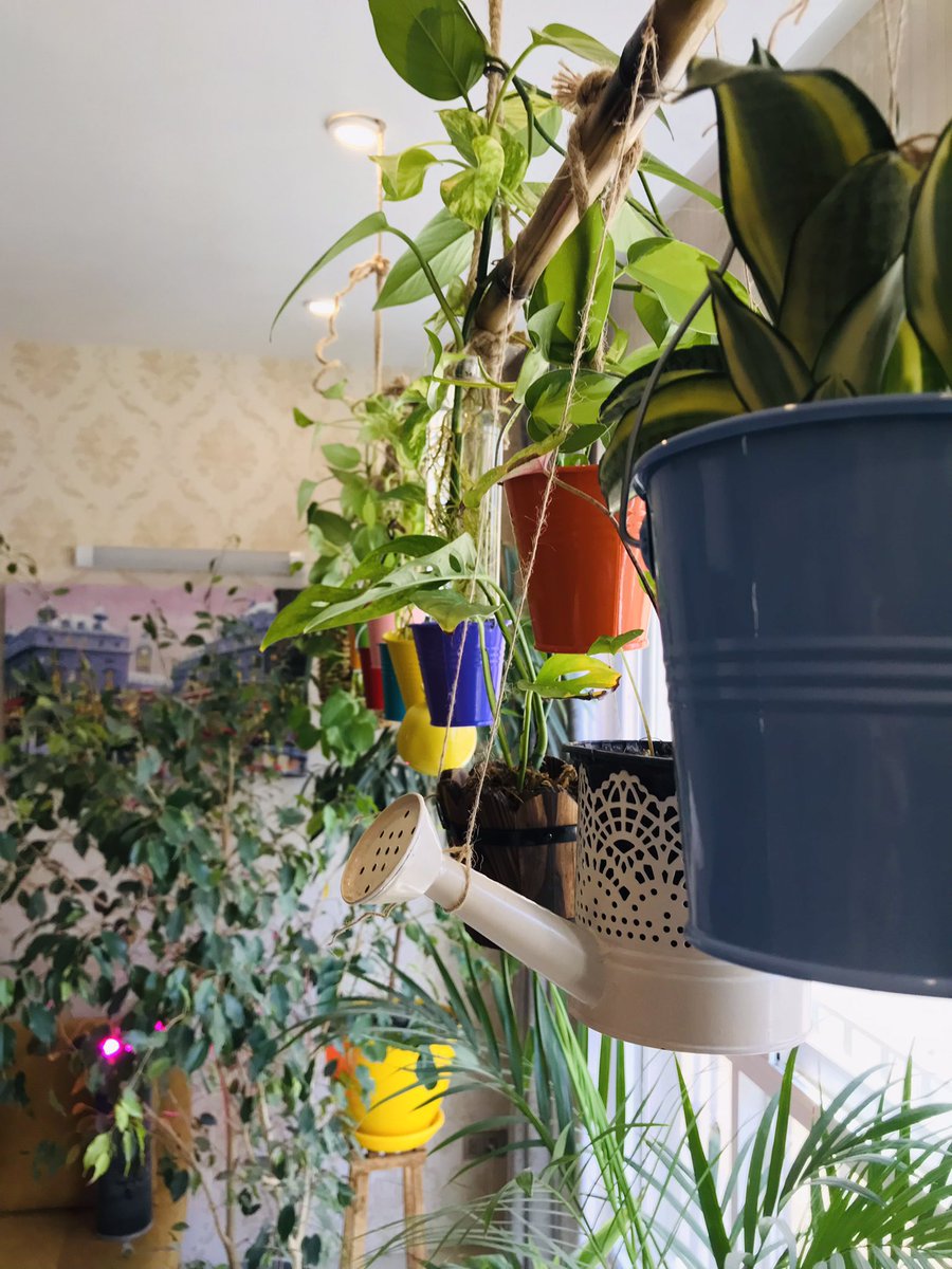 گفت خانه ها در غیاب ساکنانشان خواهند مرد 
و سپس به قلبش اشاره کرد
#محمود_درویش