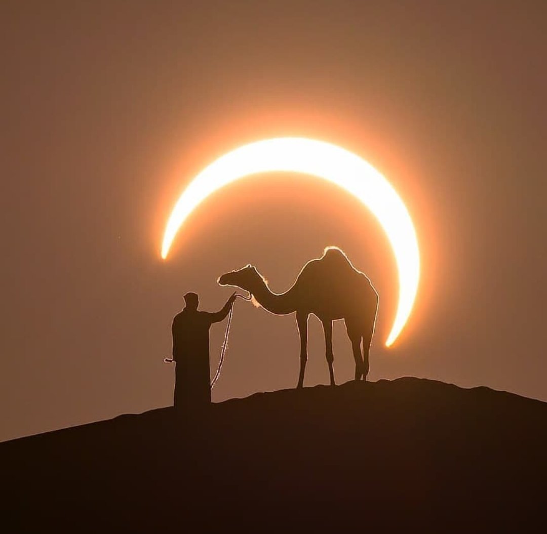Bismillahirrahmanirrahim
Ey insan! 
Seni yaratan, şekillendirip ölçülü yapan, dilediği bir biçimde seni oluşturan cömert Rabbine karşı seni ne aldattı? 

infitar sûresi/8.ayet
#ayet #kuran