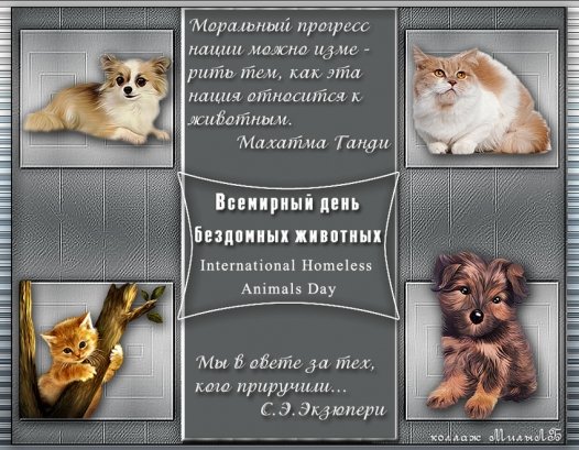 ludmilaleo7's tweet photo. Всемирный день защиты бездомных животных!
Сделайте что-нибудь хорошее для них! https://t.co/6dIvyvaMWz