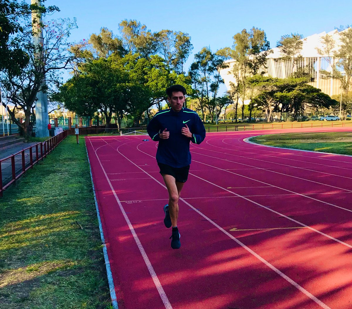 adam lipschitz tweet media