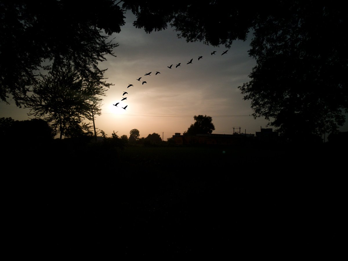 #mobilephotography