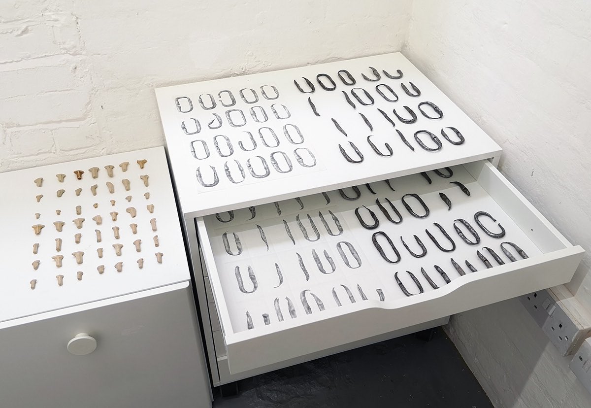 Paper_Gallery_'s tweet image. We are open 11-5 today with our current exhibition Strata ✨

The show is the result of a year-long process of conversation between Lisa Denyer, Elise Ashby and Laura Harris in the supportive and generative context of a wider project with artists and writers at PAPER.