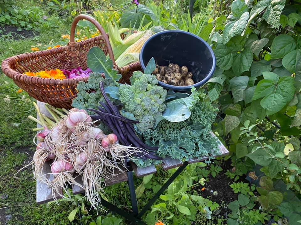 annalanhuvila's tweet photo. Syyssade ja tekee mieli lämmintä teetä hunajan kera? Sunnuntaina 22.8.2021 #Annalanhuvila :n edestä lähtee maksuton puutarhakierros, jolla tutustutaan teeyrtteihin. #CaféAnneberg :ssa on tarjolla huvilan omaa yrttiteetä ja Annalan mehiläisten urakoimaa uuden sadon hunajaa. https://t.co/ts80T7hNuR