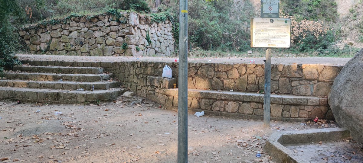 ZamoraKaiser5's tweet photo. Aquest mateix matí al parc de Sant Salvador. Papereres a 5 metres i no s'han dignat utilitzar-les 🐷 quina llàstima 😭😡 
@AjSCFarners https://t.co/BISmRRUN96