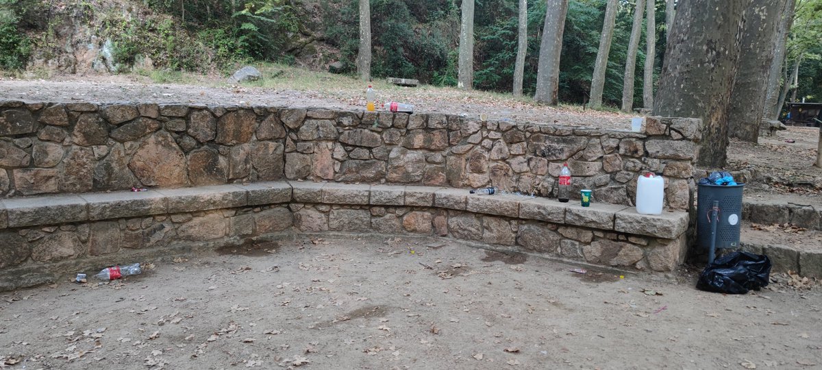 ZamoraKaiser5's tweet photo. Aquest mateix matí al parc de Sant Salvador. Papereres a 5 metres i no s'han dignat utilitzar-les 🐷 quina llàstima 😭😡 
@AjSCFarners https://t.co/BISmRRUN96