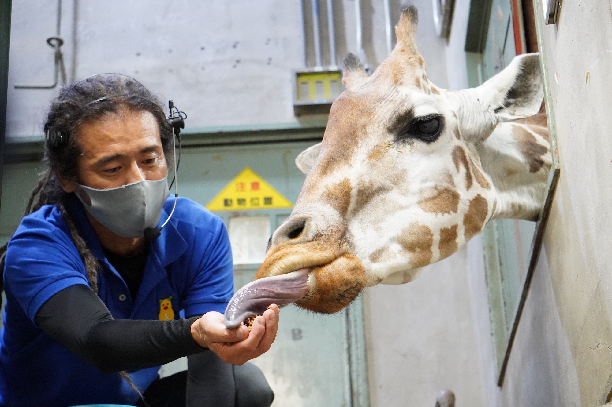 絵葉書25101┃東山動物園8枚袋付┃植物園 児童園 愛知県名古屋市