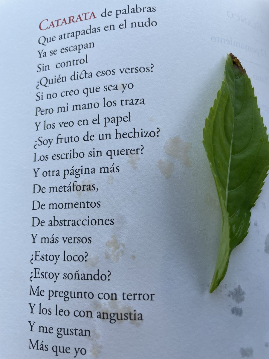 juanantoniomad's tweet photo. @DrTinahones gracias por las sensaciones que generosamente ofreces en tu libro https://t.co/8v4J6gEkyV