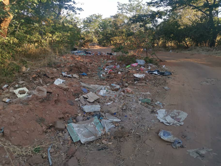 Vic_Falls_Live's tweet photo. “Plastics are eaten by wild animals, including elephants, and this can cause death." @GreenShango @HwangeResidents https://t.co/GrOUWwpqYz