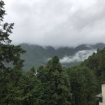 ツイートに含まれる画像