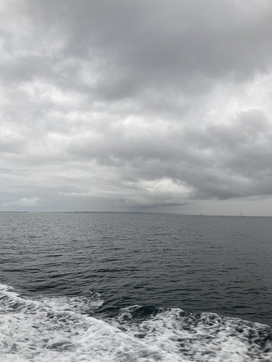 Comment rester insensible devant toutes ces nuances de gris 😊 Sur le chemin de l’île de #houat