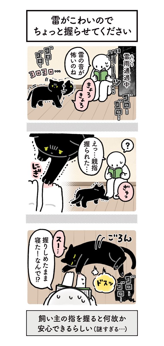 先日の荒れた天気の日に、雷におびえるねこを見守ってた絵日記 #ろんの絵日記 