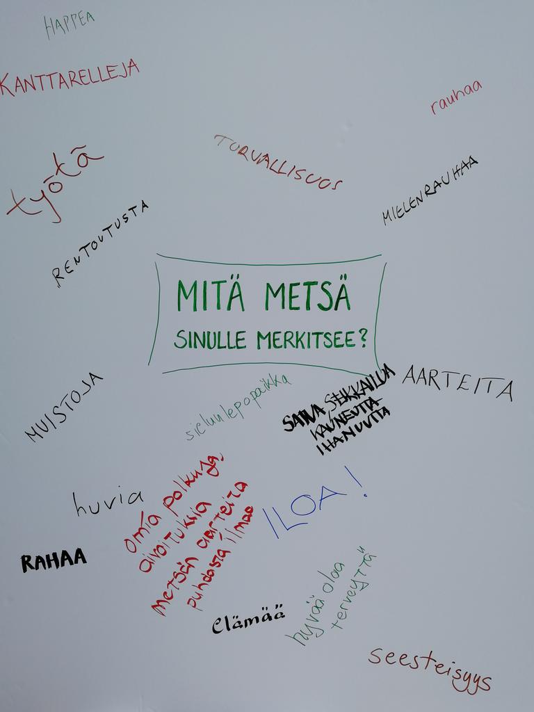 lustomuseum's tweet photo. Tervetuloa Savonlinnan satamaan kertomaan meille, mitä metsä sinulle merkitsee. Lusto mukana Savonlinnan kansainvälisellä luontoelokuvafestivaalilla tänään klo 11-17. #sinff #mmsaatio @mmsaatio https://t.co/TRZSJFvC6p