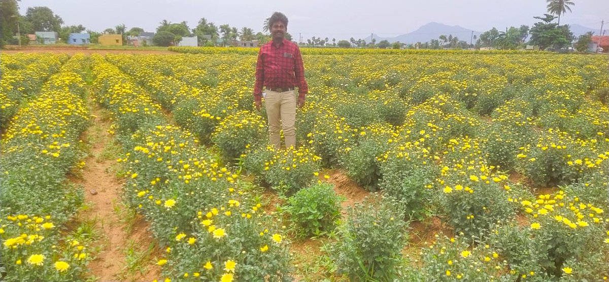 senthil331986's tweet photo. இனிய திருவோணம் நல்வாழ்த்துக்கள். https://t.co/RAG2L2WRhU