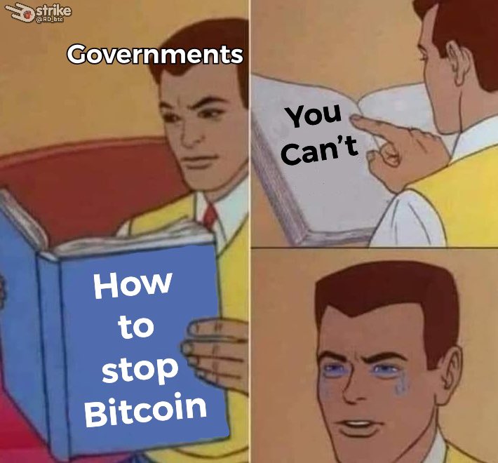 RD ₿TC tweet media