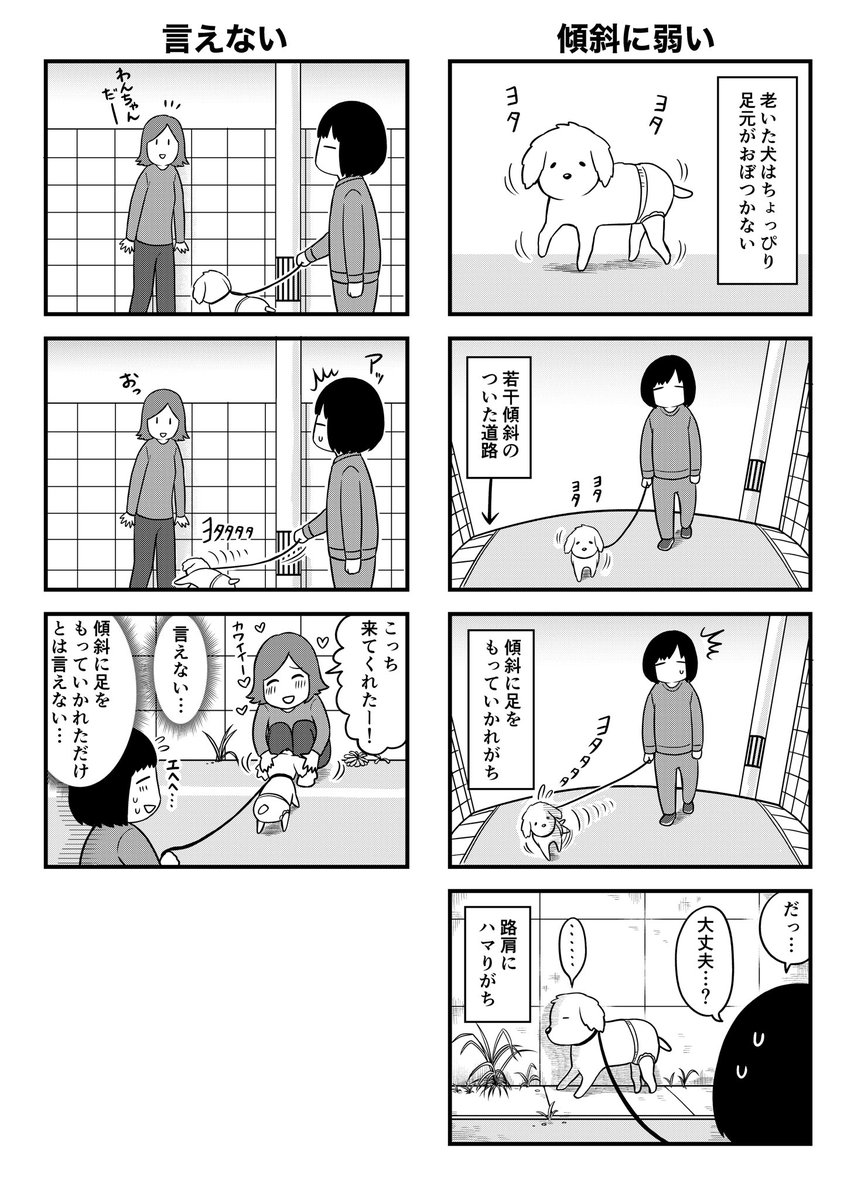 うちの老犬がヨボヨボかわいい話
オムツデビューの話とetc(再掲)
#老トイプーと私 