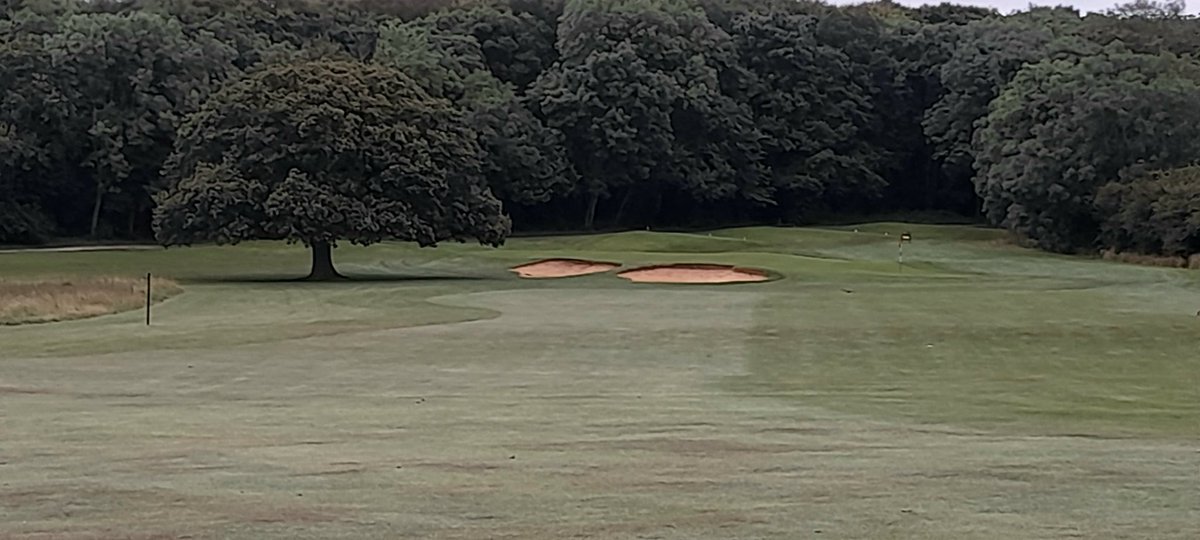 philrutt_'s tweet image. #chestfield golf course looking pretty good this morning