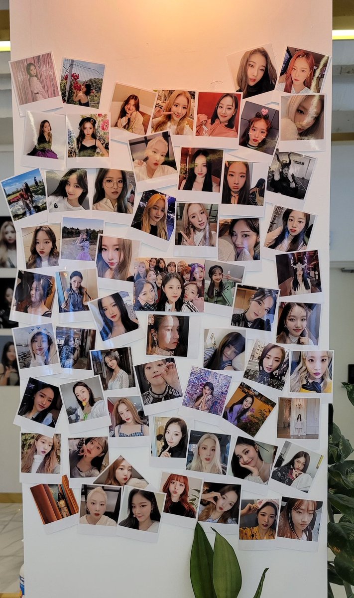 Yv2sday_'s tweet photo. #이달의소녀가_피워낸_3번째_꽃
이달의 소녀 3주년 너무너무 축하해❤ 한꺼번에 많은 이달소 사진들을 보니까 행복해서 죽을 뻔했어요... 최고입니다!! https://t.co/JYRyfhxTgq