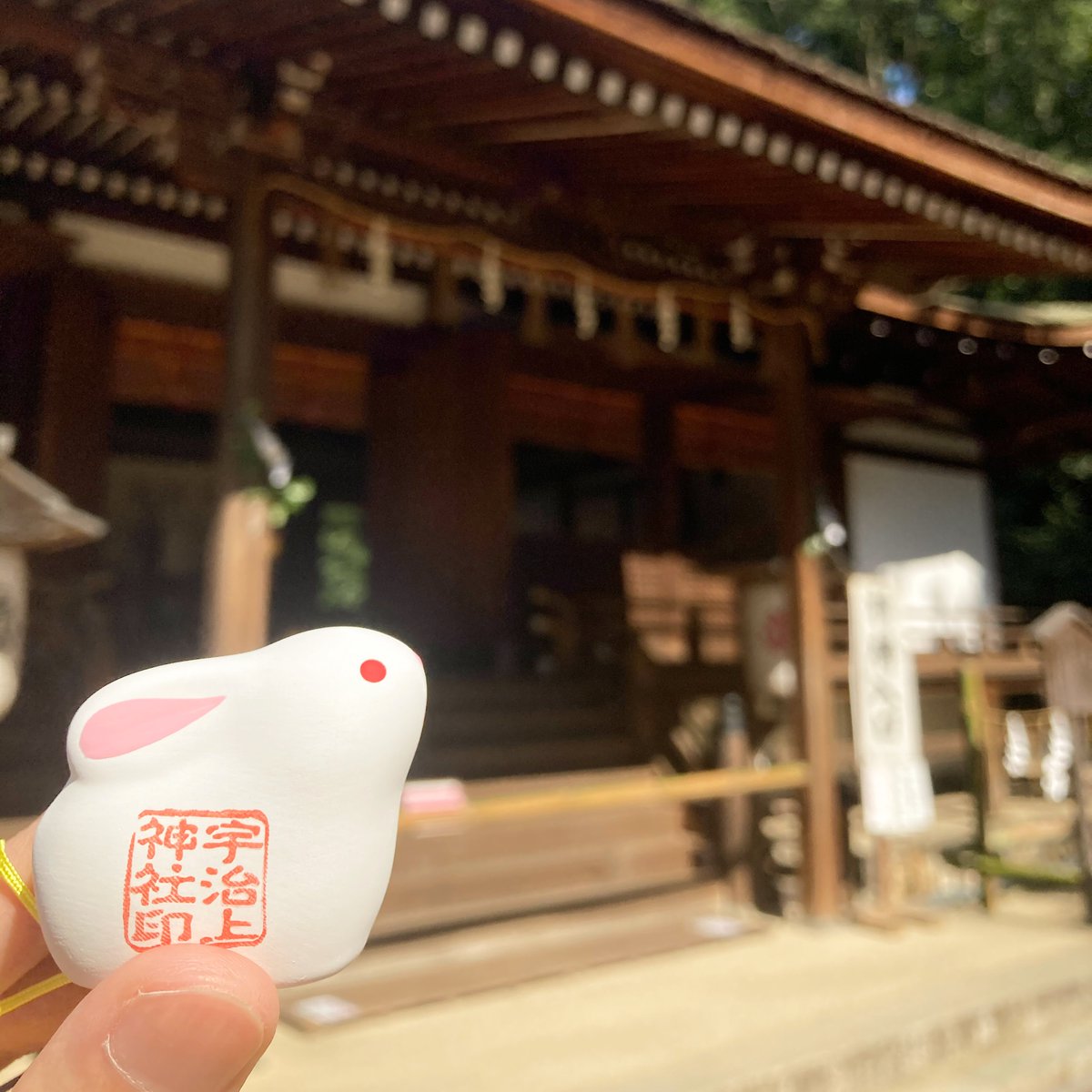 おみくじ本編集部 うさぎみくじ 宇治上神社 京都府 祭神である菟道稚郎子命と縁があるうさぎのおみくじが授与されています 菟道稚郎子命は自害することで後の仁徳天皇となる義母兄に皇位を譲ったと伝えられています おみくじ本 関西編28ページ おみくじ本編集部 うさぎみくじ 宇治上神社 京都府 祭神である菟道稚郎子命と縁があるうさぎのおみくじが授与されています 菟道稚郎子命は自害することで後の仁徳天皇となる義母兄に皇位を譲ったと伝えられています おみくじ本 関西編28ページ