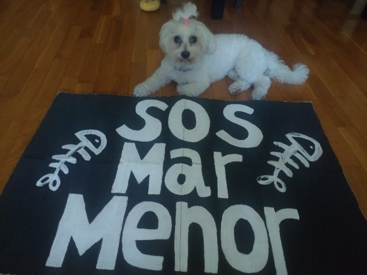 carmenb_mg's tweet photo. Yo ya estoy preparada ¿Y tu?
#SOSMarMenor #LaVuelta2021 
#MarMenorVivo https://t.co/8oZBozVnwA