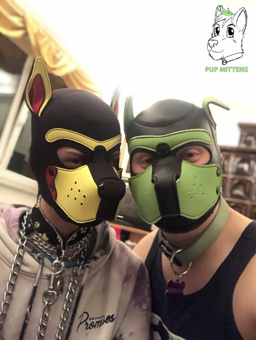 1 pic. Some Pictures from my - kinda mini con - in Hungary ?
*woof woof* Was a really fun time ? thank