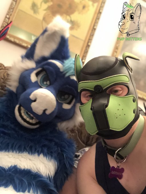 2 pic. Some Pictures from my - kinda mini con - in Hungary ?
*woof woof* Was a really fun time ? thank