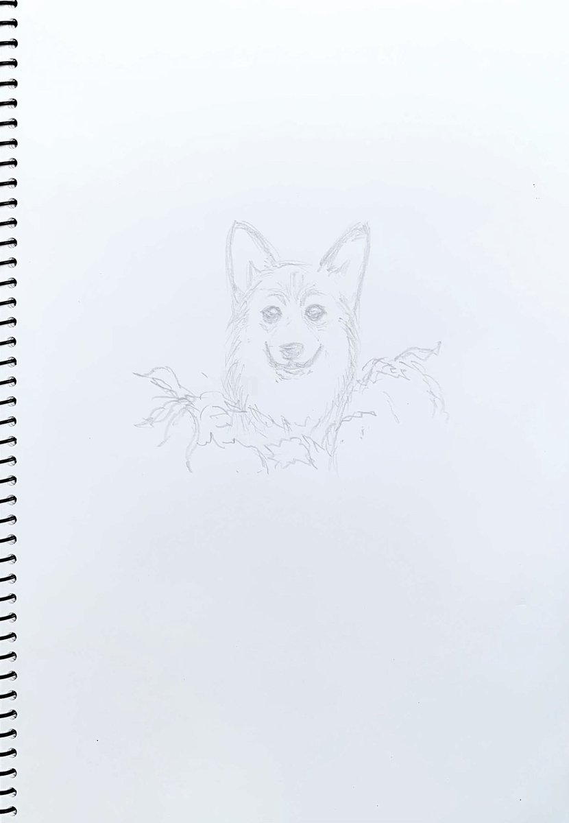 Twoucan 野原 の注目ツイート イラスト マンガ