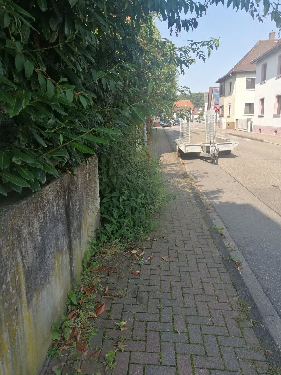 Baerry Be tweet media