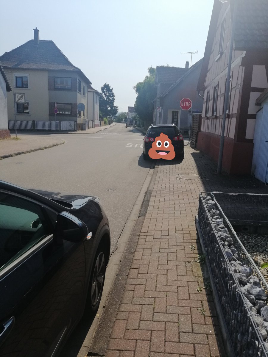 Baerry Be tweet media