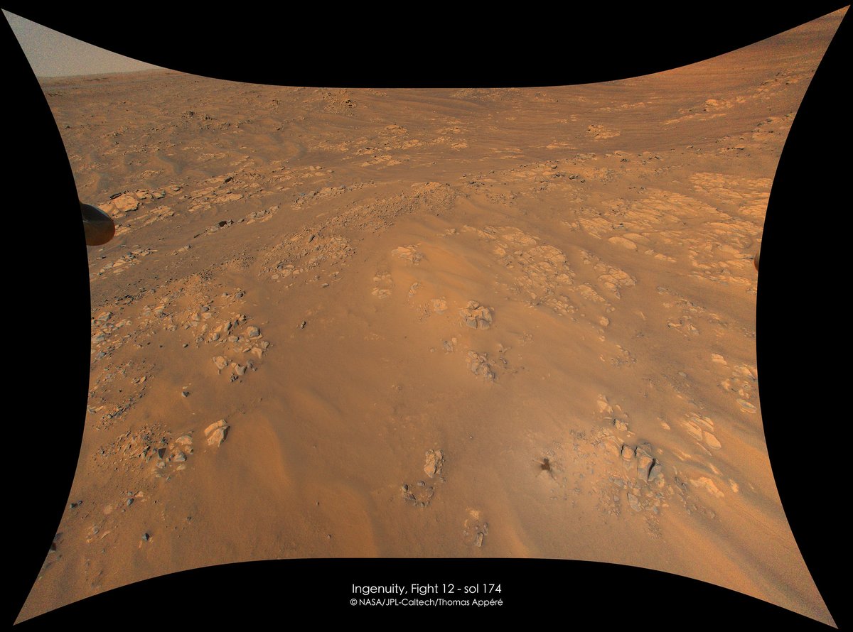 Thomas Appéré tweet media