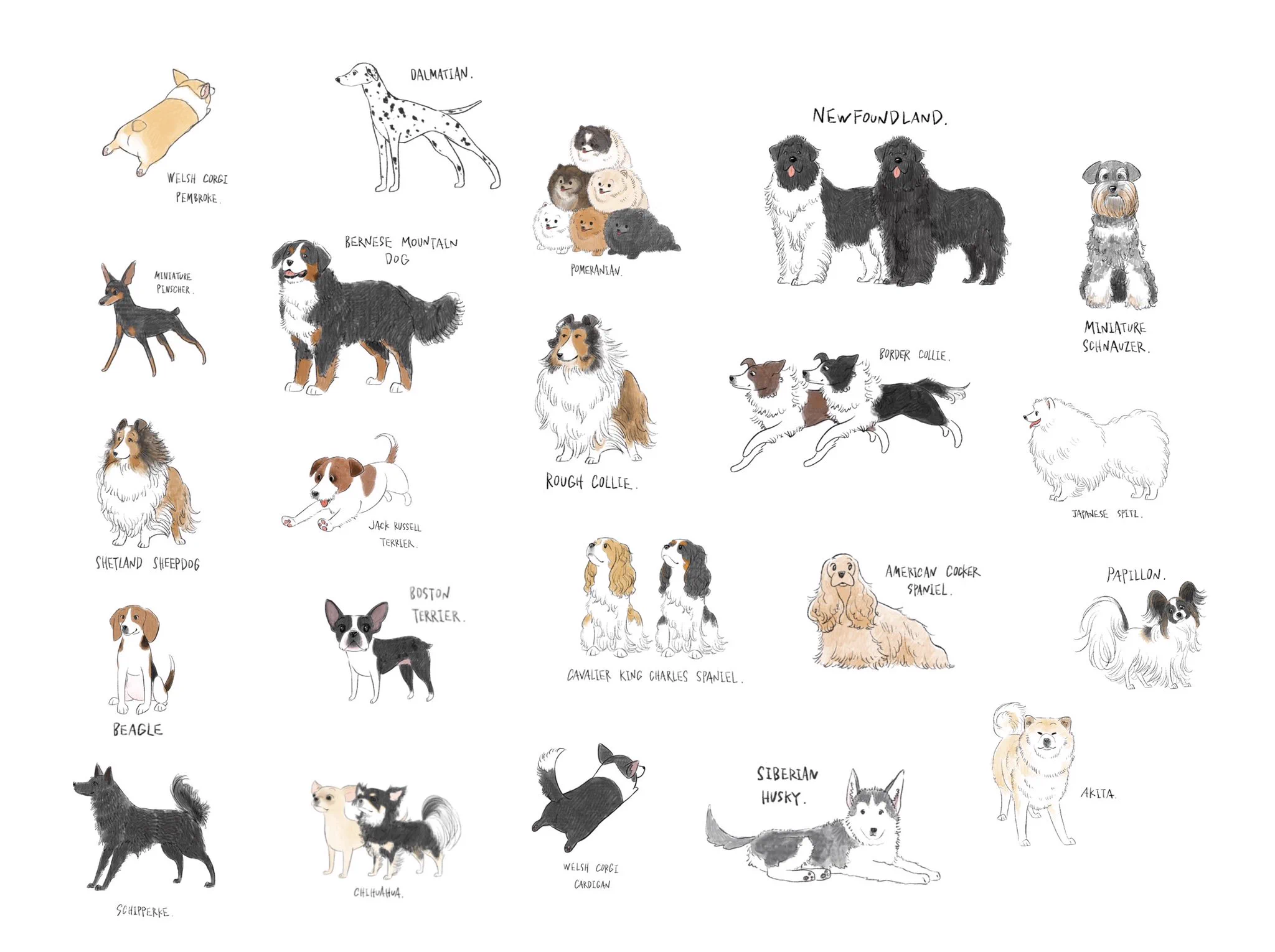とんでもない数の犬を描いているイラストレーター！好きな犬種は見つかった？？