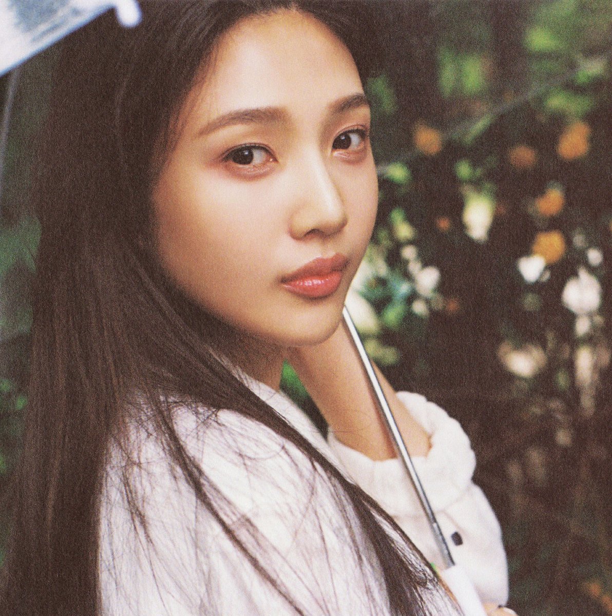 ReVeluv Archive tweet media