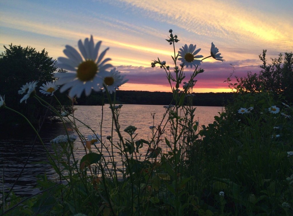 Aesthetics (@aestheticspost_) on Twitter photo 