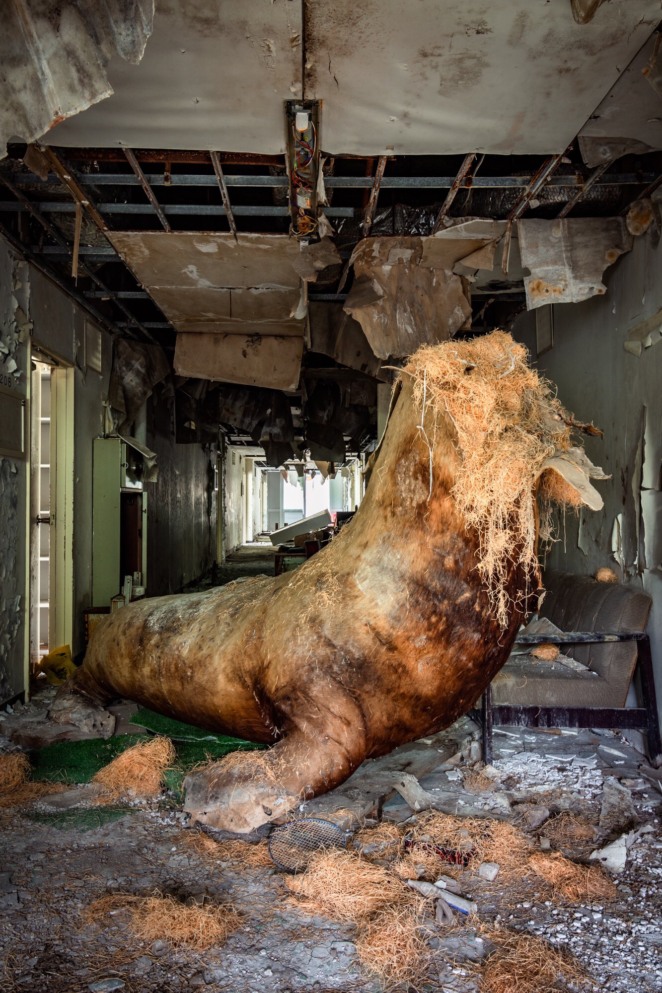 えぬびい 廃墟は とんでもない化け物を生み出してしまった T Co 8lskmzsuvp Twitter