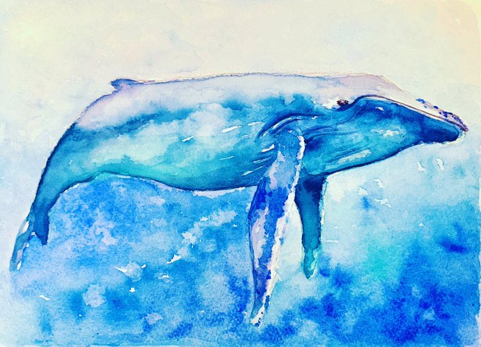 クジラ 高画質 のtwitterイラスト検索結果 クジラ 高画質 のtwitterイラスト検索結果