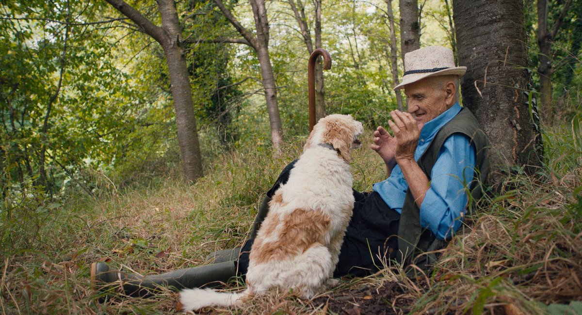 FlavelArts's tweet photo. The Truffle Hunters (12A)

Sat 16th Oct 2pm
Mon 18th Oct 2pm
Tue 19th Oct 7.30pm
Wed 20th Oct 7.30pm

For more info:
https://t.co/uMZnnLLpRH
@discoverdart #dartmouth #devoncinema https://t.co/moZZTeVzOg