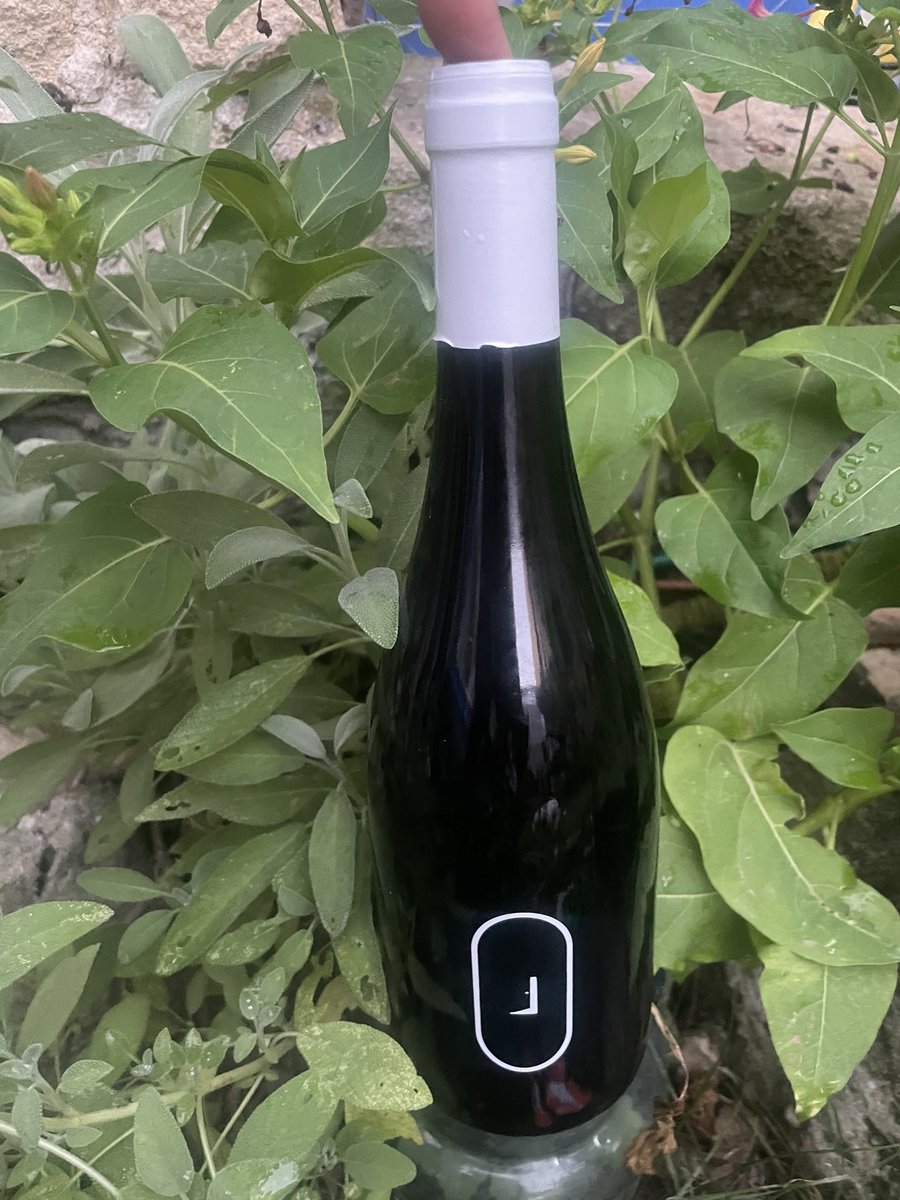 BvrEmae's tweet photo. Dégustation de vin en namoureux 🍷
.
.
https://t.co/lD1UvinI34
.
.
#degustation #vin #vinrouge #cyrilmp4 #laportesoudant #merveille #plaisir #instamoment #decouverte #surprise #delicieux #ineed #monnouveauchouchou #ennamoureux #instalove https://t.co/Wt1YqqASFy