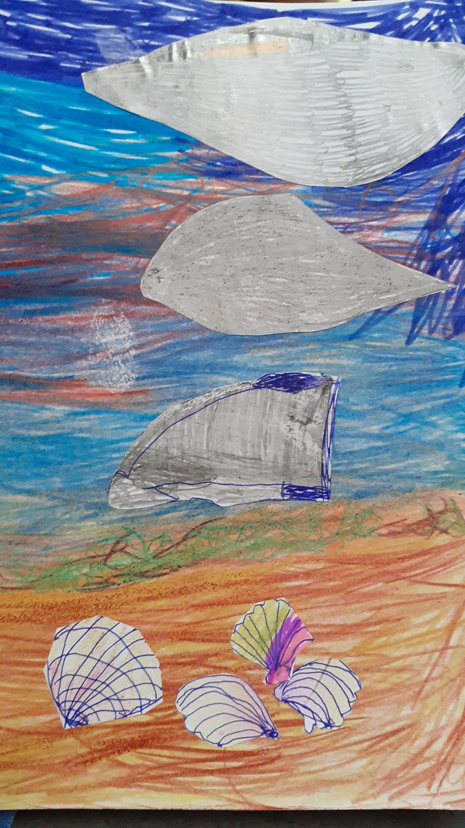 Musclos i marea baixa a la península de Crozon / Kraozon