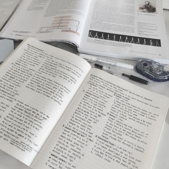 justadreamhero's tweet photo. эстетика учебы 📖
#aesthetic #study #write #books #photo #photography #learningatmosphere https://t.co/lBbE36G0oJ