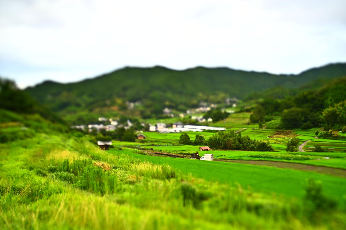 HiroCamp_Quest's tweet photo. ジオラマの世界に入り込んだよー\(^-^)/
めくるにつれて解ってくる図4
#lensbaby #composerpro2 #edge35 #ジオラマ https://t.co/47jCVRhvkN