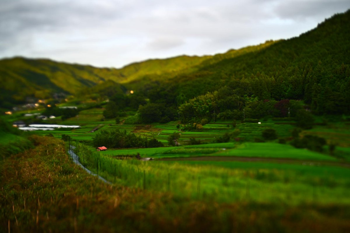 HiroCamp_Quest's tweet photo. ジオラマの世界に入り込んだよー\(^-^)/
めくるにつれて解ってくる図4
#lensbaby #composerpro2 #edge35 #ジオラマ https://t.co/47jCVRhvkN